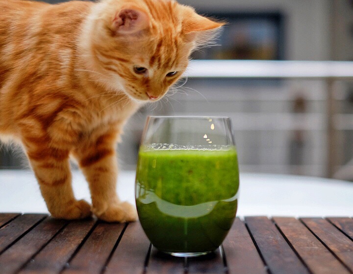 Green Power Smoothie